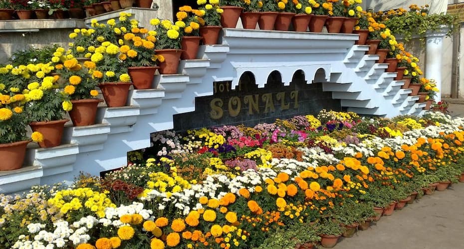 Hotel Sonali International, Puri 4